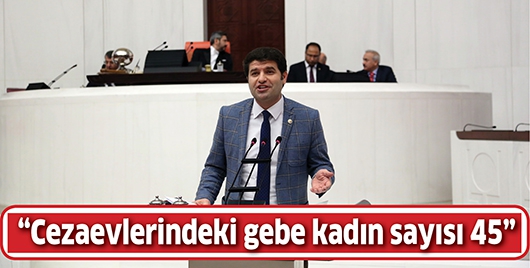 &ldquo;CEZAEVLERİNDEKİ GEBE KADIN SAYISI 45&rdquo;