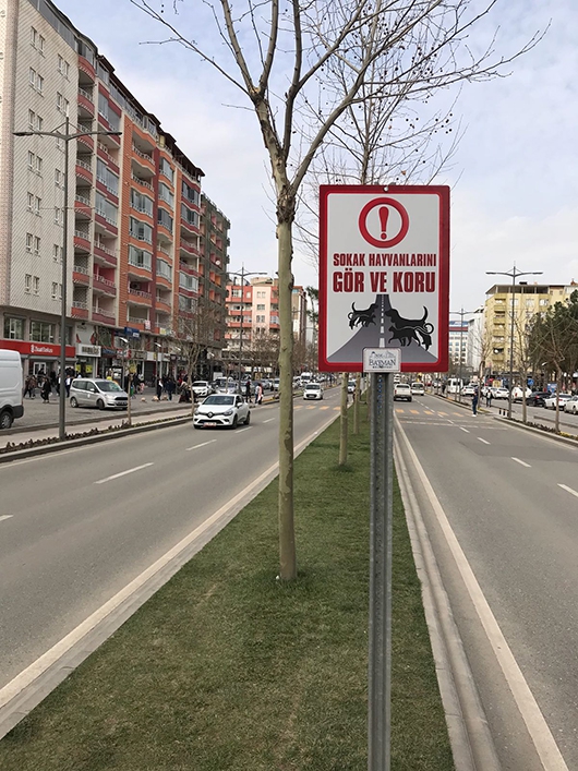 SOKAK HAYVANLARI İ&Ccedil;İN TABELA...
