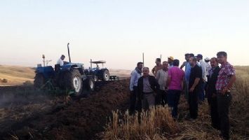 BUĞDAY TARLASI K&Uuml;LE D&Ouml;ND&Uuml;&hellip;