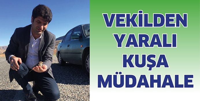 VEKİLDEN YARALI KUŞA M&Uuml;DAHALE