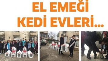 EL EMEĞİ KEDİ EVLERİ&hellip;