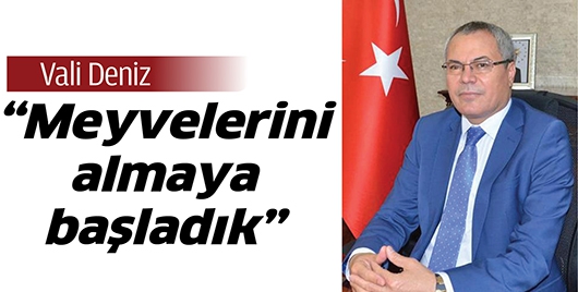 &ldquo;MEYVELERİNİ ALMAYA BAŞLADIK&rdquo;