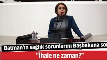 BATMAN&rsquo;IN SAĞLIK SORUNLARINI BAŞBAKANA SORDU
