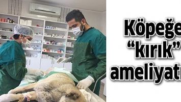 K&Ouml;PEĞE &ldquo;KIRIK&rdquo; AMELİYATI&hellip;