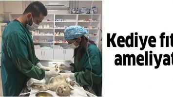 KEDİYE FITIK AMELİYATI