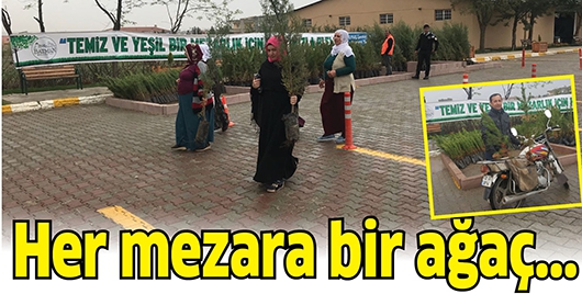 HER MEZARA BİR AĞA&Ccedil;...