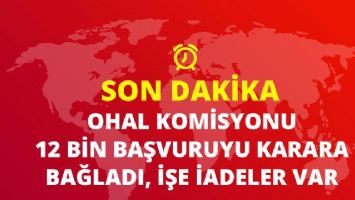 Son Dakika! OHAL Komisyonu, 12 Bin Başvuruyu Karara Bağladı, 310 Kişi İşe İade Edildi