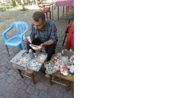 BATMANLILARI, DENİZ KABUKLARIYLA TANIŞTIRIYOR