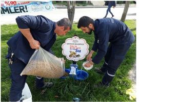 SOKAK HAYVANLARINA GIDA&hellip;