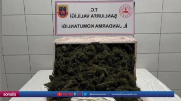 35 kilogram esrar ele ge&ccedil;irildi