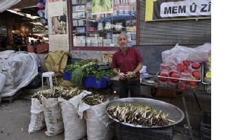 KENGER, KAPIŞ KAPIŞ&hellip;