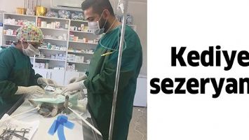 KEDİYE SEZERYAN...