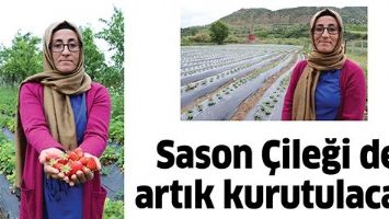 SASON &Ccedil;İLEĞİ DE ARTIK KURUTULACAK