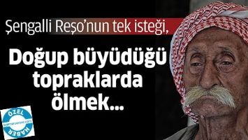 ŞENGALLİ REŞO&rsquo;NUN TEK İSTEĞİ,