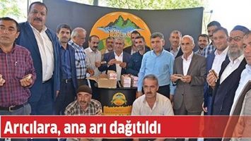 ARICILARA, ANA ARI DAĞITILDI