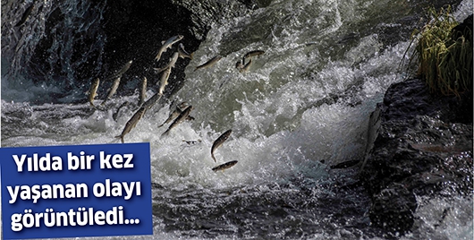 YILDA BİR KEZ YAŞANAN OLAYI G&Ouml;R&Uuml;NT&Uuml;LEDİ&hellip;