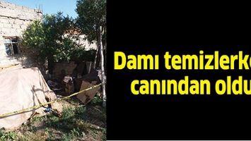 DAMI TEMİZLERKEN CANINDAN OLDU