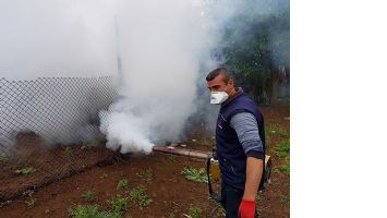 SİNEKLERLE SAVAŞ&hellip;
