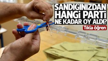 Sandığımdan kim &ccedil;ıktı? Oy kullandığınız sandıktan hangi parti ne kadar oy aldı? (Sandık sorgulama aracı)