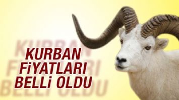Kurban Fiyatları Belli Oldu: