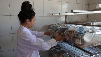 Magnezyum bileşeni kaygıyı azaltıyor