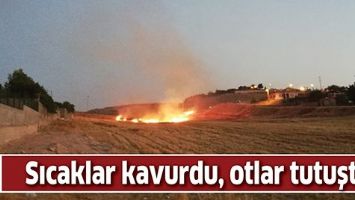 SICAKLAR KAVURDU, OTLAR TUTUŞTU!