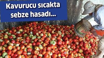 KAVURUCU SICAKTA SEBZE HASADI