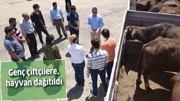 GEN&Ccedil; &Ccedil;İFT&Ccedil;İLERE, HAYVAN DAĞITILDI
