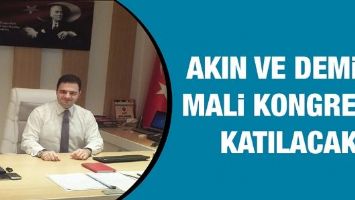 AKIN VE DEMİR, MALİ KONGREYE KATILACAK