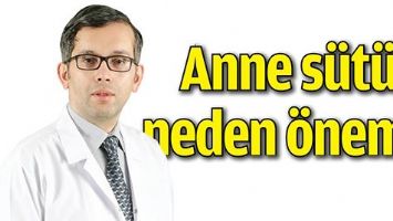 ANNE S&Uuml;T&Uuml; NEDEN &Ouml;NEMLİ