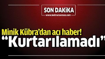 MİNİK K&Uuml;BRA&rsquo;DAN ACI HABER!