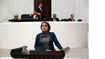 ATIK SU SORUNUNU MECLİSE TAŞIDI