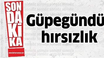 G&Uuml;PEG&Uuml;ND&Uuml;Z HIRSIZLIK