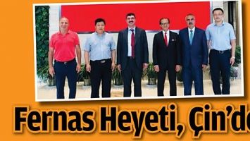 FERNAS HEYETİ, &Ccedil;İN&rsquo;DE