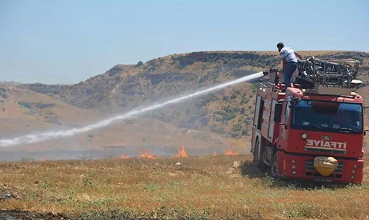 100 D&Ouml;N&Uuml;M ARAZİ, K&Uuml;LE D&Ouml;ND&Uuml;