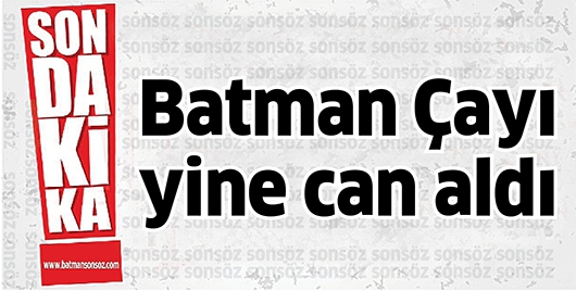 BATMAN &Ccedil;AYI YİNE CAN ALDI