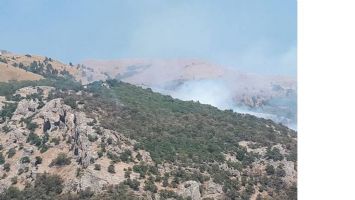 &ldquo;DERSİM VE SASON YANGINLARI S&Ouml;ND&Uuml;R&Uuml;LMELİ&rdquo;
