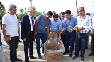 &Ccedil;İFT&Ccedil;İYE &Ccedil;İLEK VE NAYLON DESTEĞİ