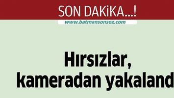 HIRSIZLAR, KAMERADAN YAKALANDI