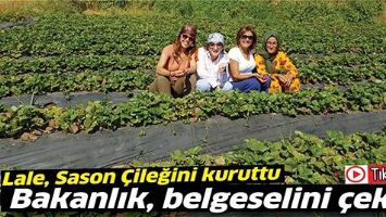 LALE, SASON &Ccedil;İLEĞİNİ KURUTTU