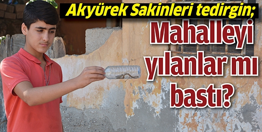 AKY&Uuml;REK SAKİNLERİ TEDİRGİN;