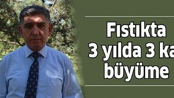 FISTIKTA 3 YILDA 3 KAT B&Uuml;Y&Uuml;ME