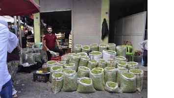 HATAY VE MARDİN ZEYTİNLERİ BATMAN&rsquo;DA