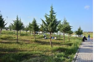 MESİRE ALANI, BAKIMSIZ KALDI