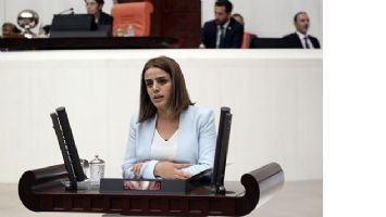 HDP&rsquo;Lİ ACAR, ARAŞTIRMA İSTEDİ