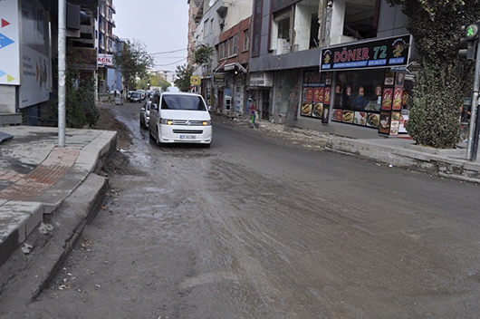 &Ccedil;AMURLU YOL TEPKİSİ