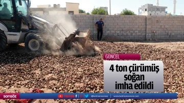 4 ton &ccedil;&uuml;r&uuml;m&uuml;ş soğan imha edildi
