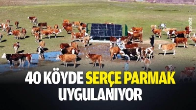 40 k&ouml;yde ser&ccedil;e parmak uygulanıyor