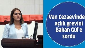 VAN CEZAEVİNDEKİ A&Ccedil;LIK GREVİNİ BAKAN G&Uuml;L&rsquo;E SORDU