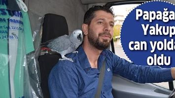 PAPAĞAN YAKUP CAN YOLDAŞI OLDU